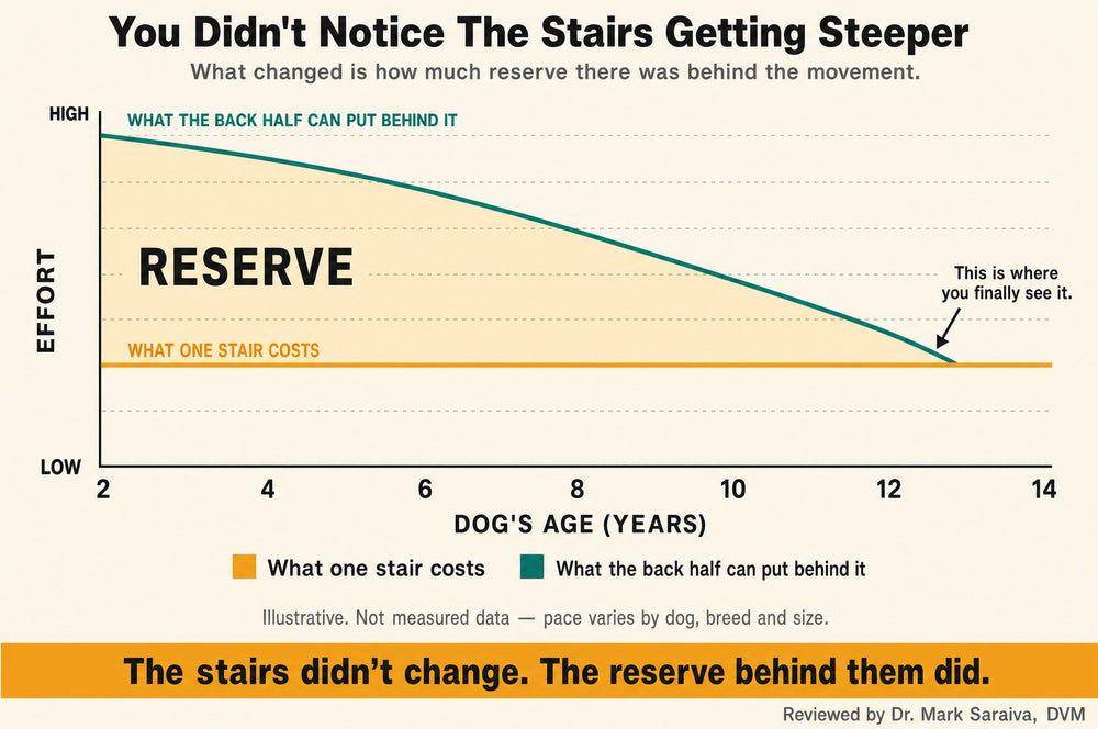 Illustrative chart: what one stair costs stays flat while what the back half can put behind it declines with age, narrowing the reserve between them