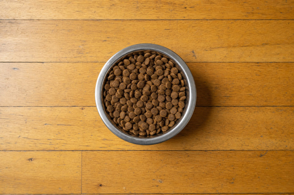 Overhead view of a stainless steel bowl of dry kibble on oak floorboards