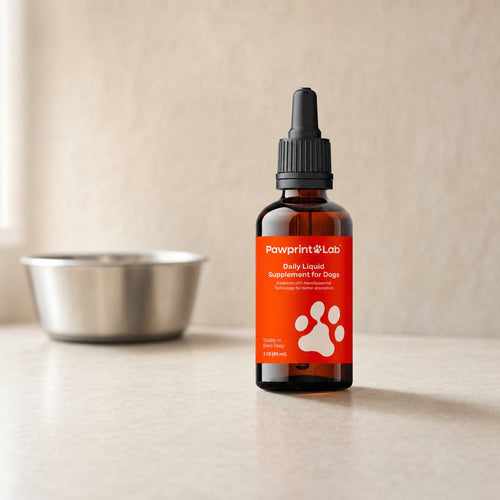 The Pawprint Lab dropper bottle on a kitchen counter beside a stainless steel dog bowl