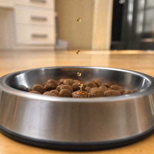 Golden liquid drops falling into a stainless steel bowl of dry kibble
