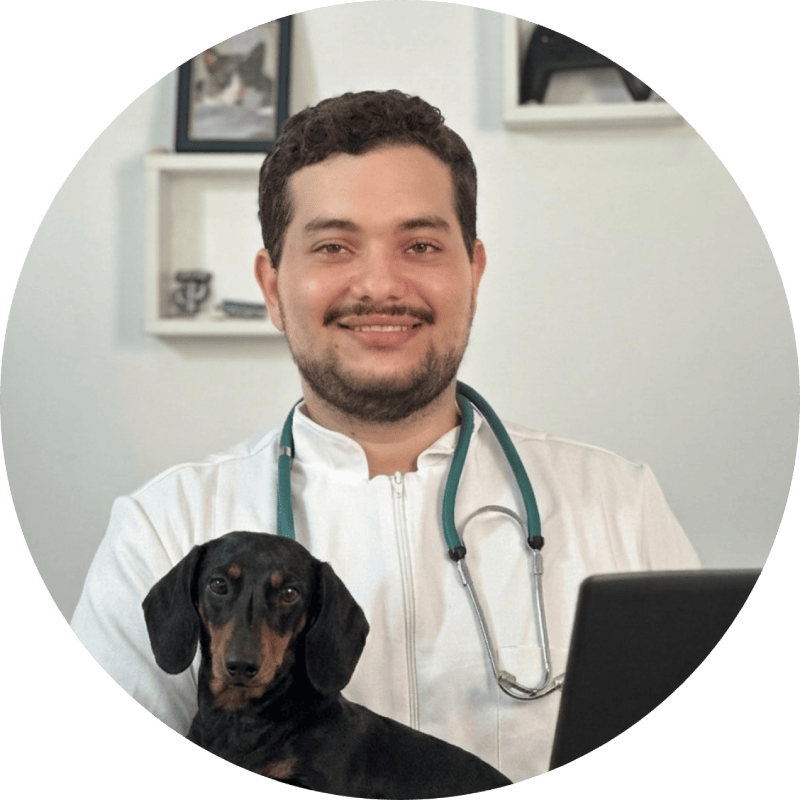 Dr. Mark Saraiva, DVM, holding a dachshund