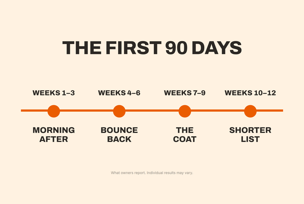 Timeline: the first 90 days - morning after, bounce back, the coat, shorter list