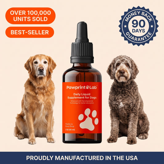 Pawprint Protocol liquid dog supplement bottle flanked by two senior dogs, with a 90-day money-back guarantee seal