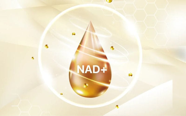NAD+ (Nicotinamide Adenine Dinucleotide)