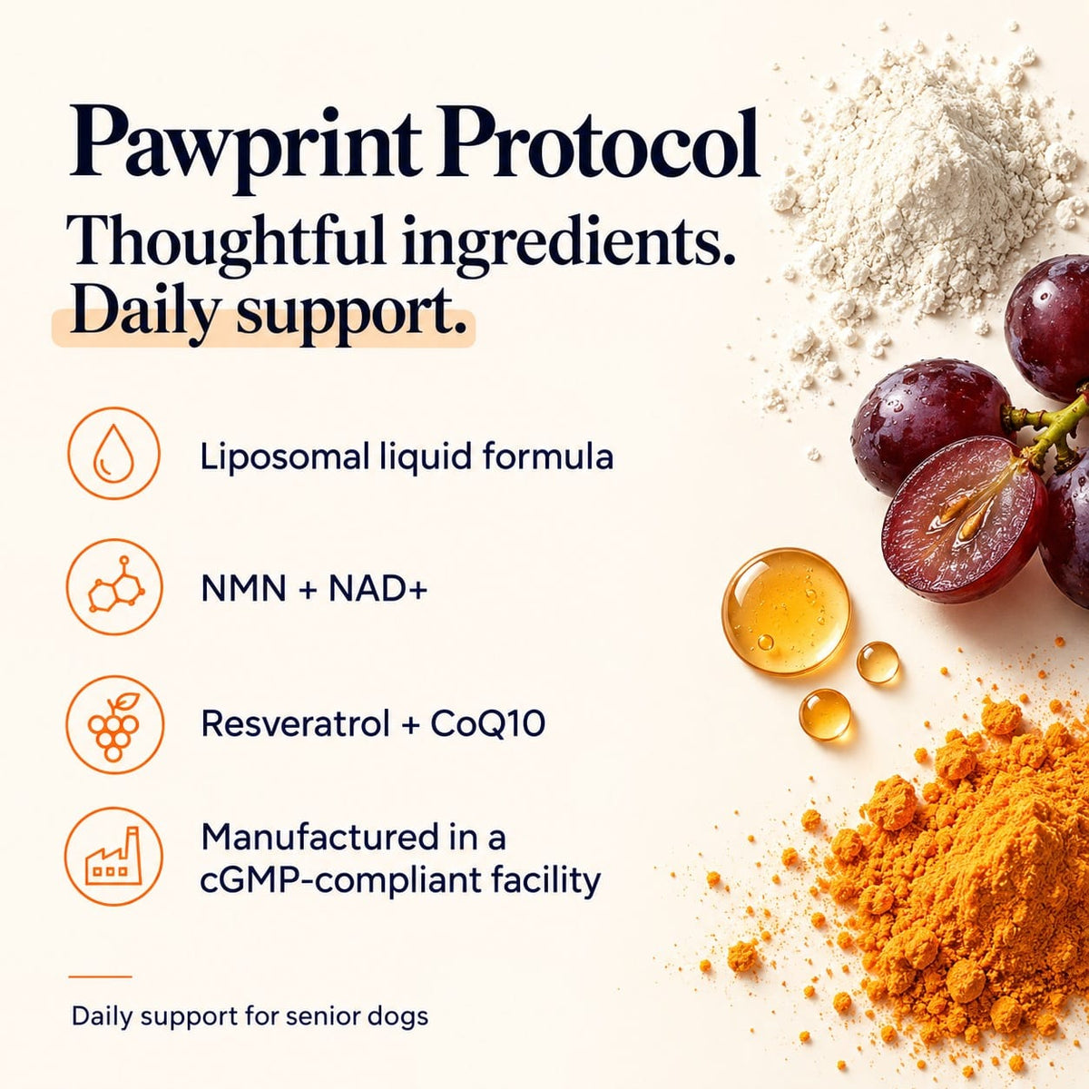 Pawprint Protocol