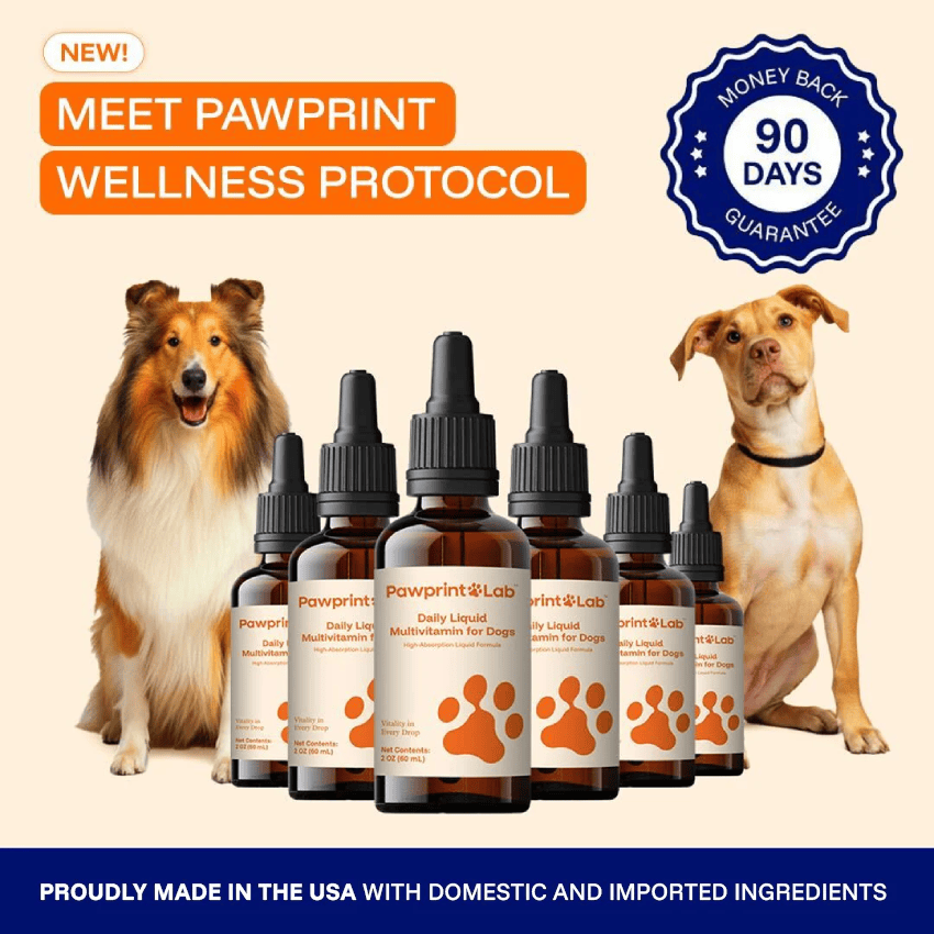 Pawprint Wellness Protocol
