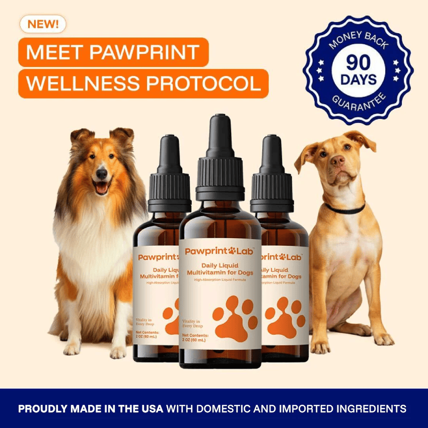 Pawprint Wellness Protocol