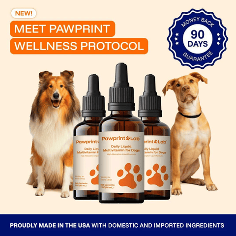 Pawprint Wellness Protocol