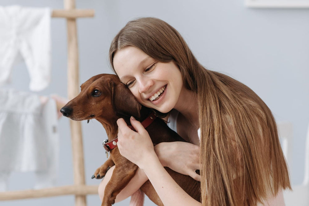 A woman holding a red smooth-coated Dachshund close at home.