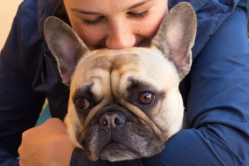 A woman affectionately kissing her fawn French Bulldog.