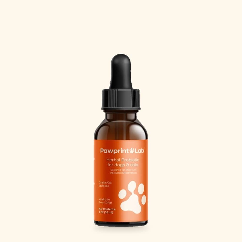 Pawprint Lab Herbal Probiotic for dogs & cats, 1 oz dropper bottle