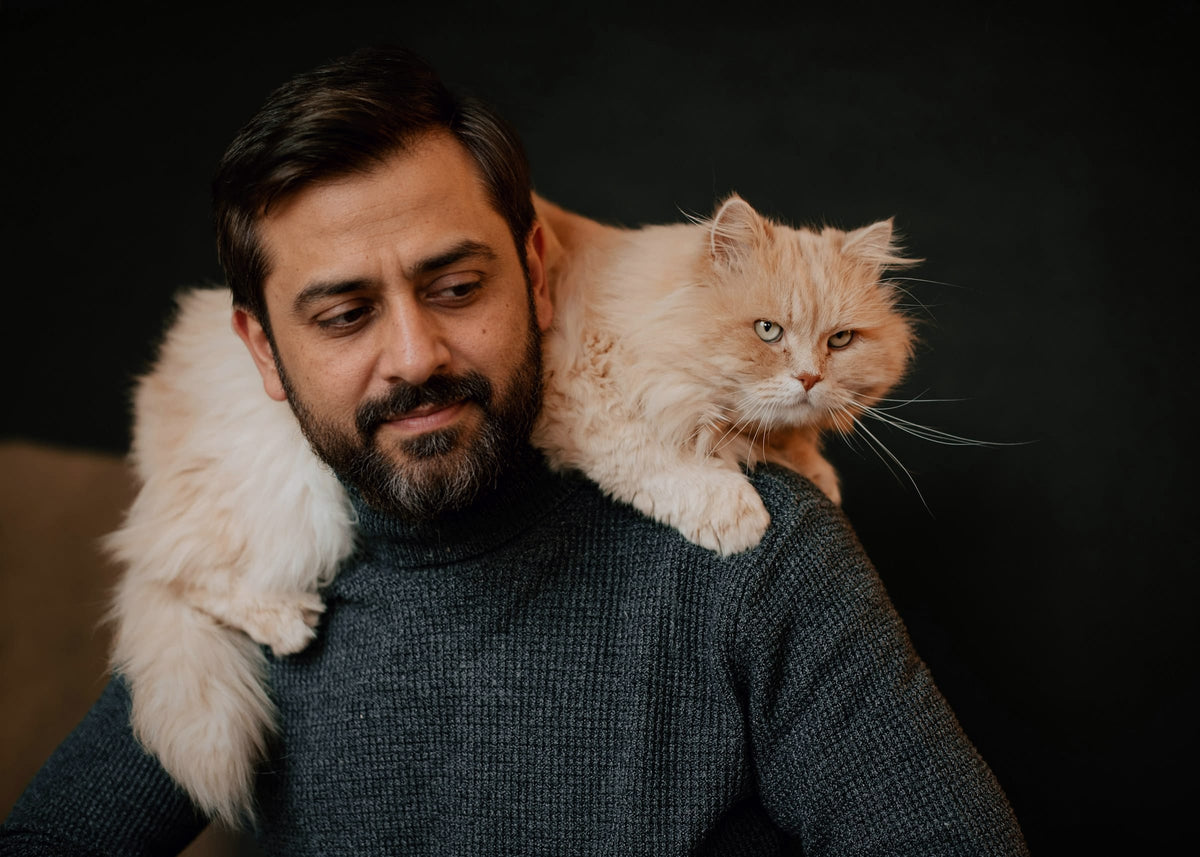 A fluffy cream cat rests on its owner's shoulders