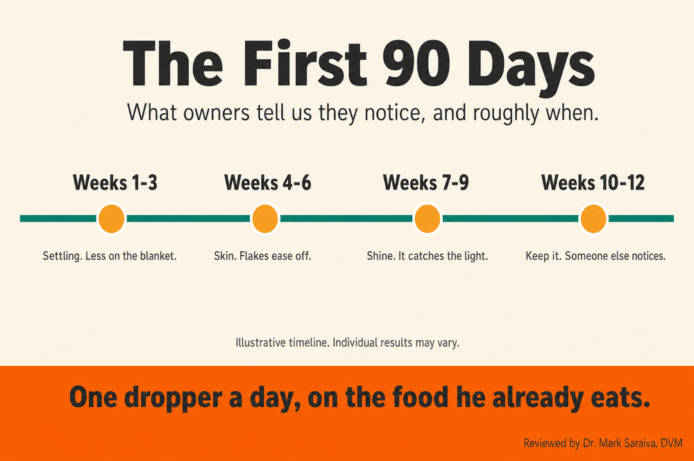 Timeline of the first 90 days across four stages