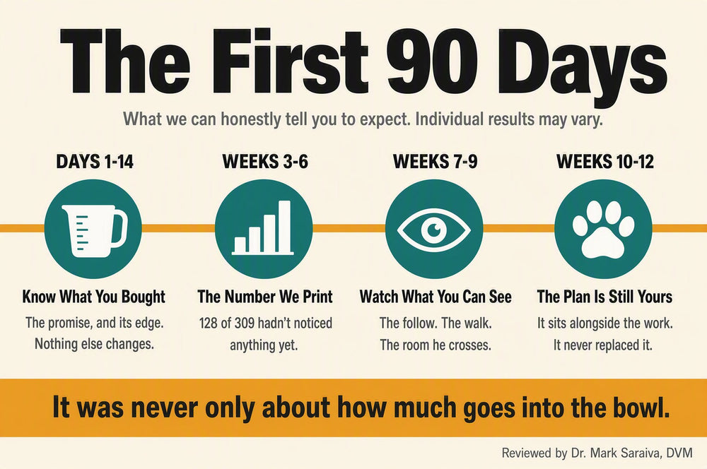 Timeline: the first 90 days and what owners can honestly expect