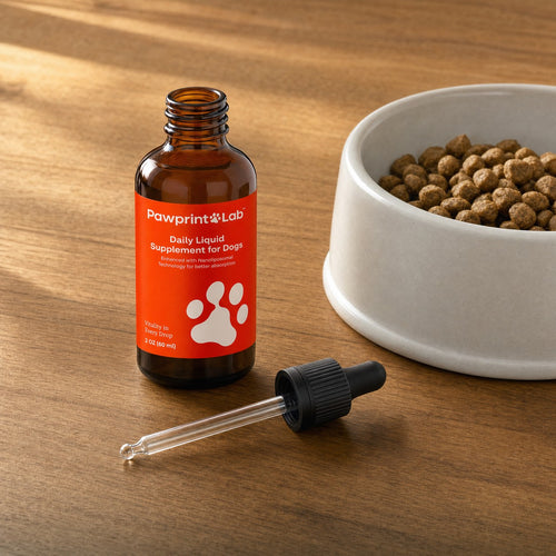 An open bottle of Pawprint Protocol with its dropper resting beside a bowl of kibble