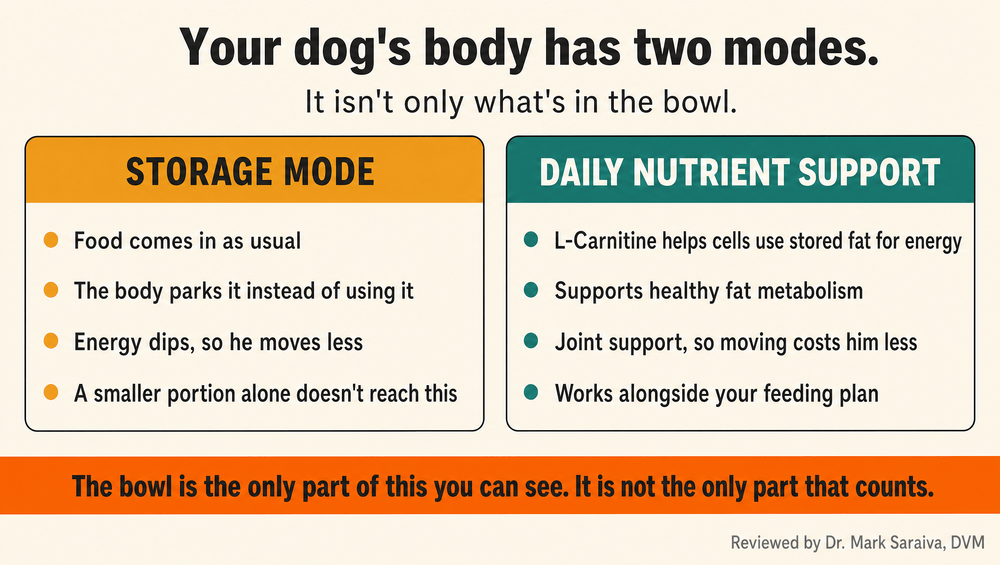 Storage Mode versus daily nutrient support - L-Carnitine led