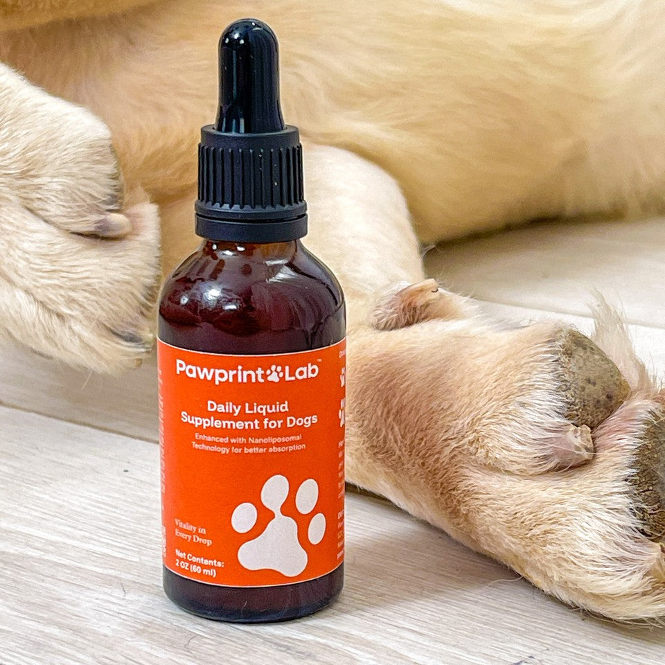 A bottle of Pawprint Protocol standing between the pale front paws of a resting dog