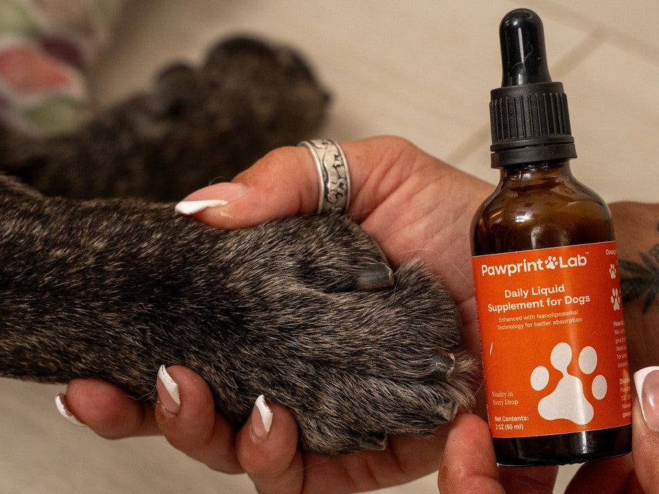 A hand holding a dog’s paw beside a bottle of Pawprint Protocol