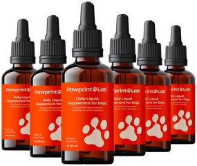 Pawprint Protocol, six bottles