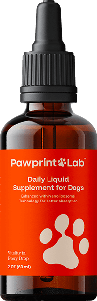 Pawprint Protocol, one bottle