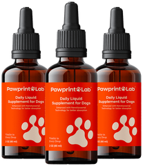 Pawprint Protocol, three bottles