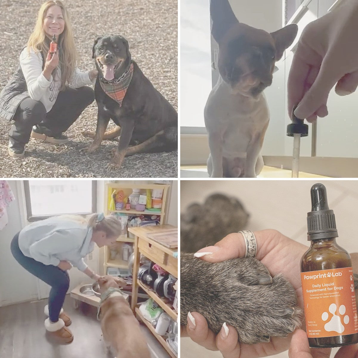 A collage of four photos: a woman holding a small bottle beside her Rottweiler, a French bulldog watching a hand hold a dropper, a woman bending to feed a dog in a kitchen, and a hand holding a dog’s paw next to a labelled bottle.
