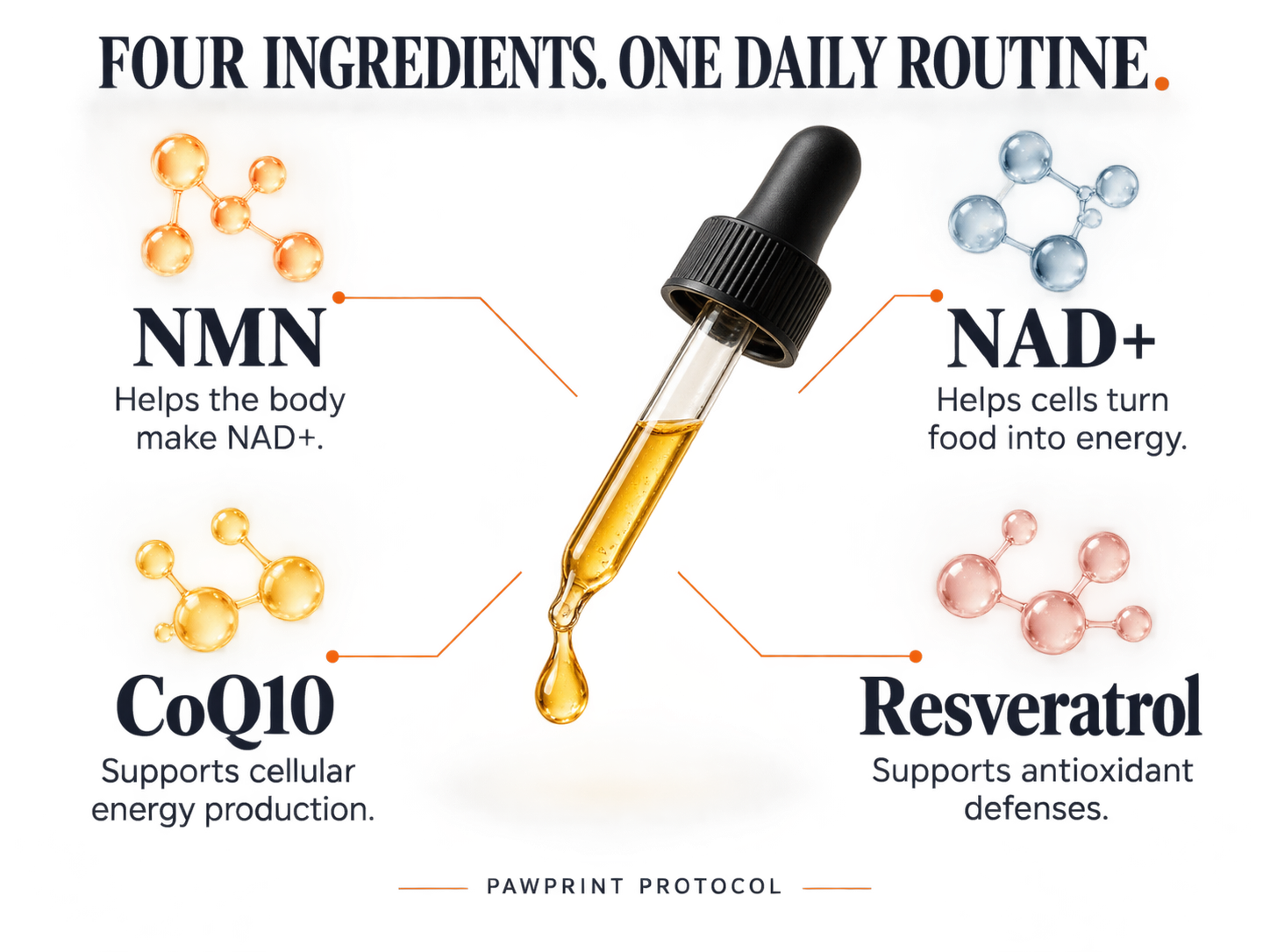 A dropper surrounded by NMN, NAD+, CoQ10 and Resveratrol, with their roles in cellular energy and antioxidant support
