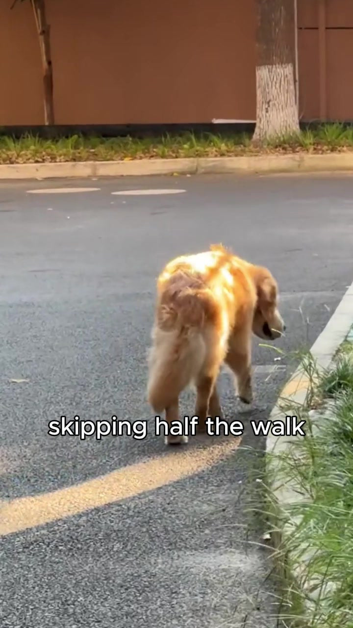July pausing at the roadside during the selected source story