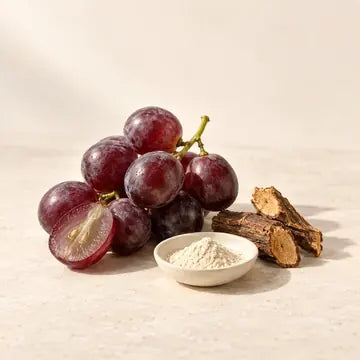 Raisins rouges à côté d’une petite coupelle de poudre de resvératrol.